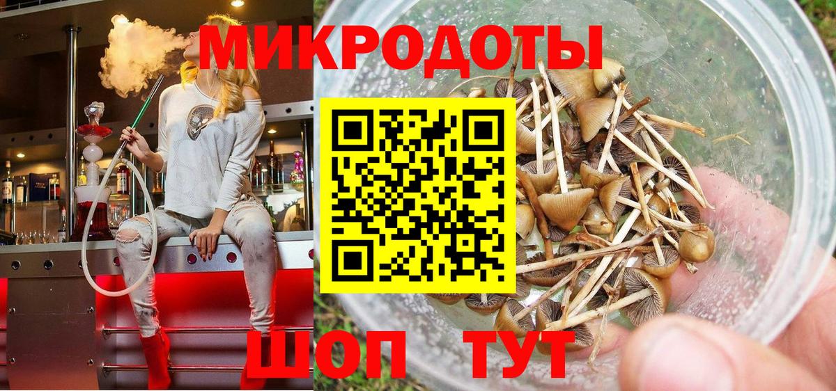 Каменск-Шахтинский  что такое наркотик  Вход с VPN  Псилоцибиновые грибы прущие грибы 