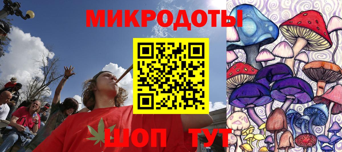 Псилоцибиновые грибы мицелий Каменск-Шахтинский